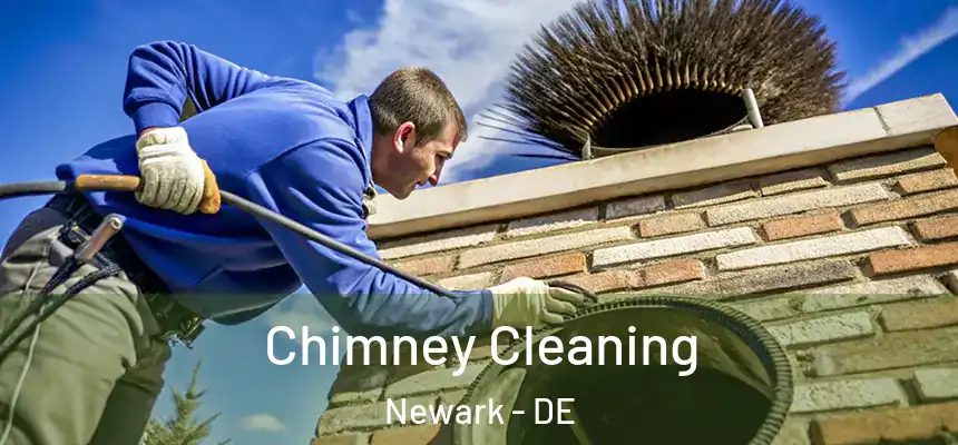  Chimney Cleaning Newark - DE