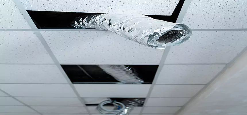 Our Air Duct Pet Hair Removal Services in Newark, DE