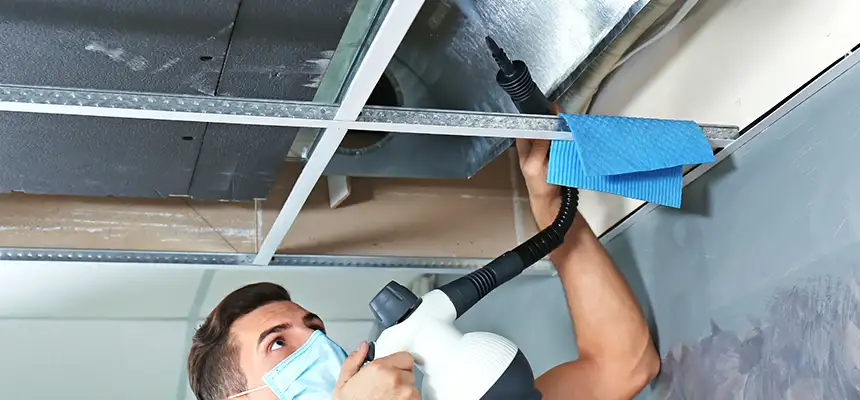 Our Air Duct Rodent Removal Services in Newark, DE