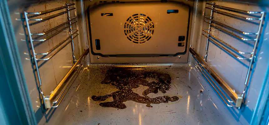 Our Dryer Vent Mold Cleaning Services in Newark, DE