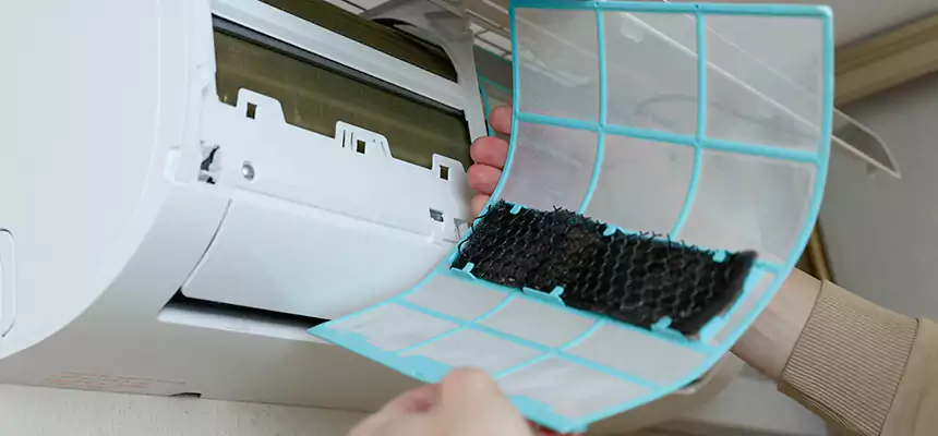 Gentle Ductwork Odor-Control Pet Dander Duct Cleaning in Newark, DE