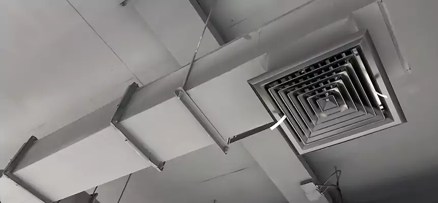 Our Rodent Droppings In Vents Services in Newark, DE