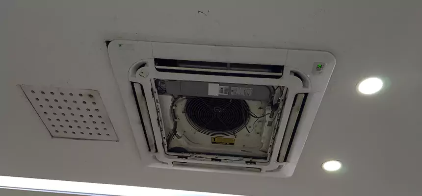 Our Wall Vent Cleaning Service Services in Newark, DE