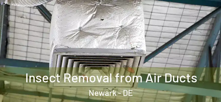  Insect Removal from Air Ducts Newark - DE