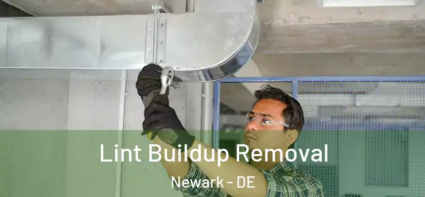  Lint Buildup Removal Newark - DE