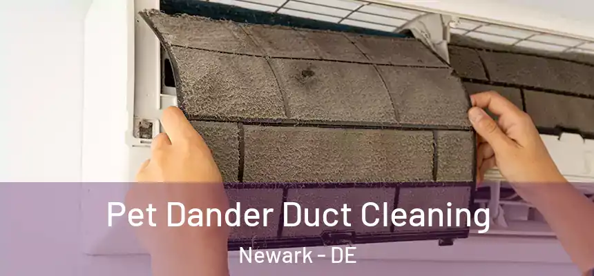  Pet Dander Duct Cleaning Newark - DE