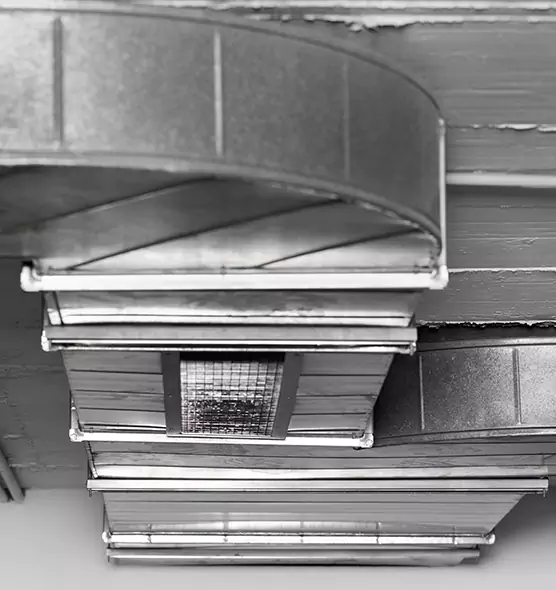 Professional Air Duct Pet Hair Removal in Newark, DE