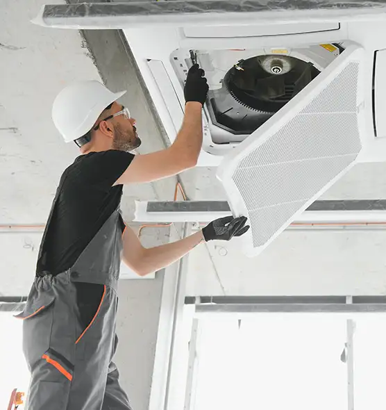 About Air Duct Rodent Removal in Newark, DE