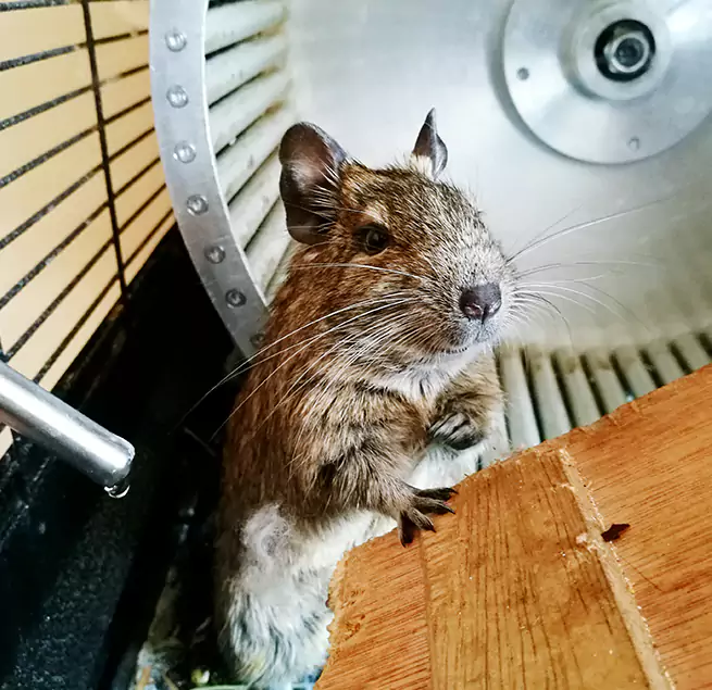 Why Homeowners & Businesses Trust Us Newark, DE