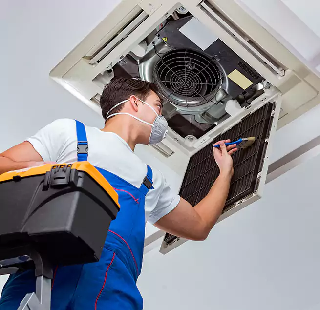 Why Homeowners & Businesses Trust Us in Newark, DE?