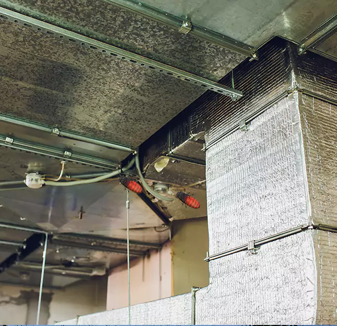 Why Homeowners & Businesses Trust Us Newark, DE?