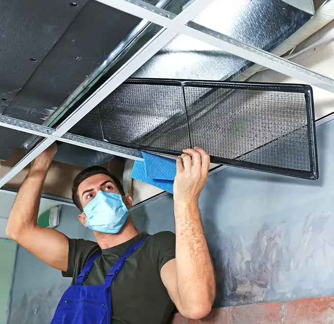 Why Homeowners & Businesses Trust Us in Newark, DE?