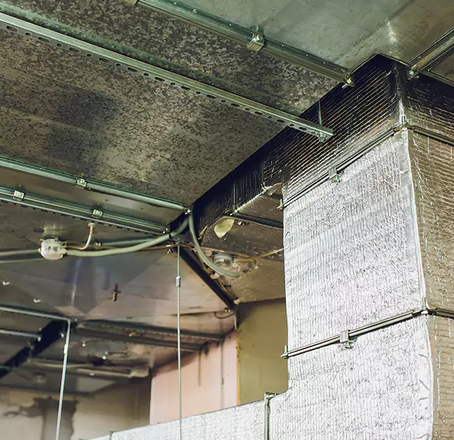 Why Homeowners & Businesses Trust Us in Newark, DE?